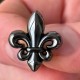 Pin's Homme Fleur de Lys Noir Brillant Argenté